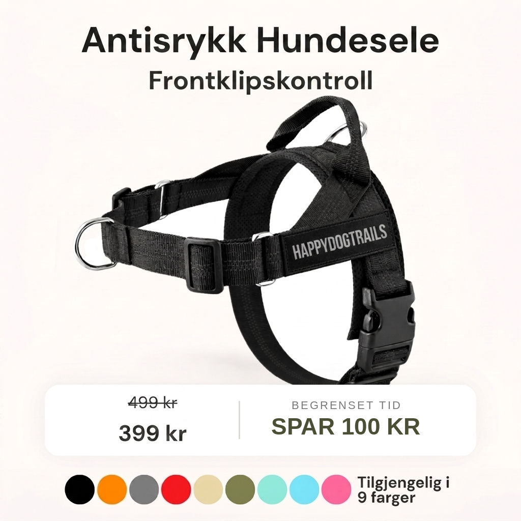 Ingen Rykk Hundesele