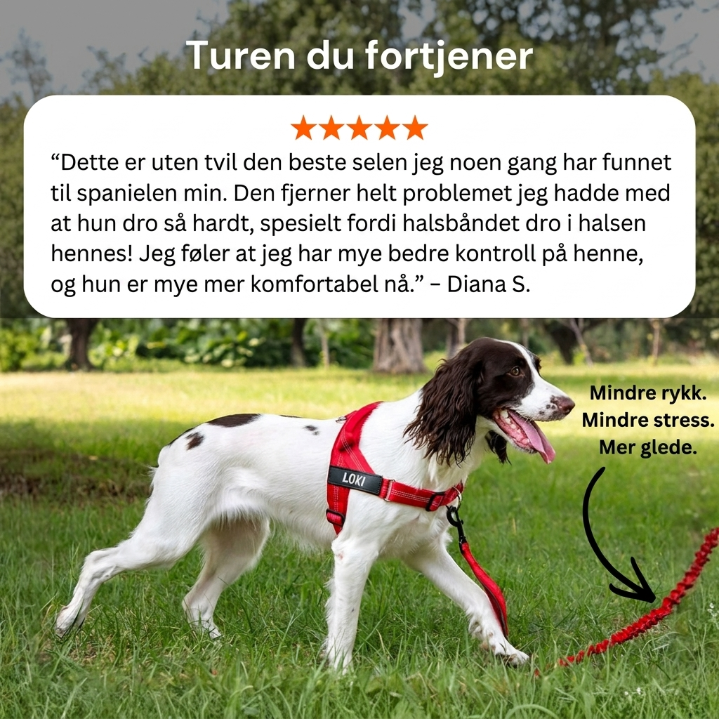 Ingen Rykk Hundesele