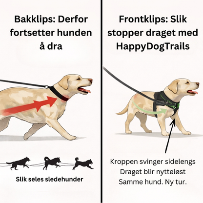 Ingen Rykk Hundesele