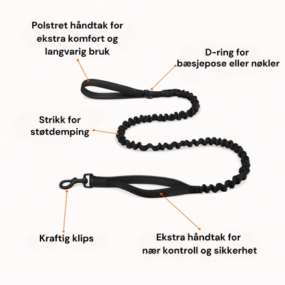 Bungee hundebånd