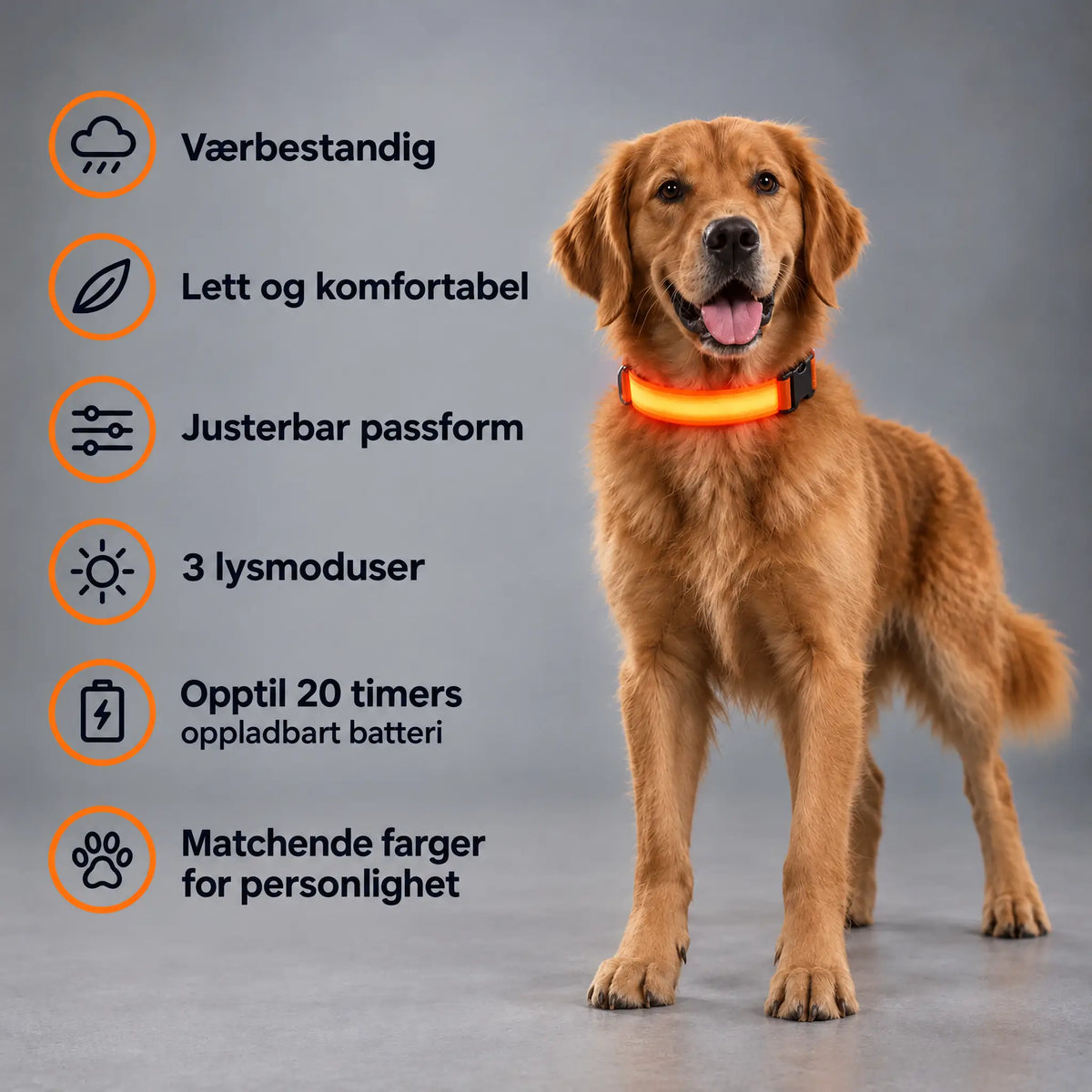 LED Halsbånd