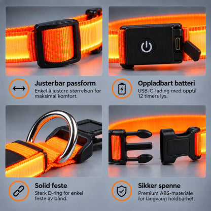 LED Halsbånd